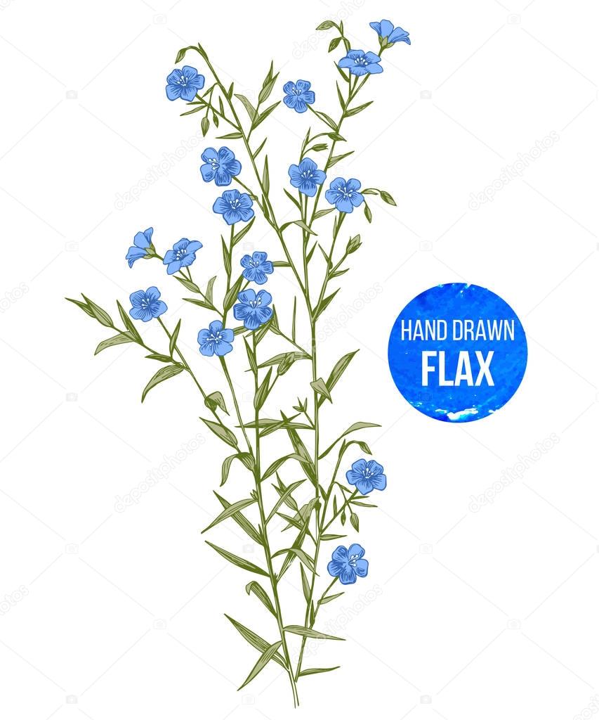 Hand drawn colorful flax flowers