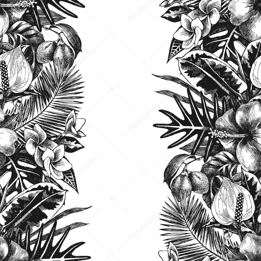 hand drawn tropical background