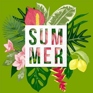 Tropik bitkiler ve çiçekler yaz arka plan