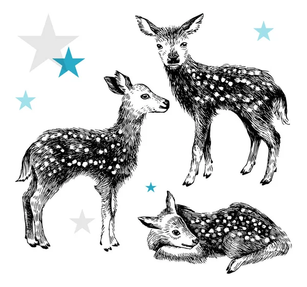3 手のビンテージ スタイルで描かれた赤ちゃん鹿 — ストックベクタ