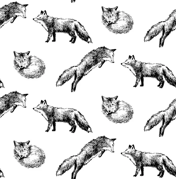 Seamless pattern with hand drawn foxes — Stock Vector