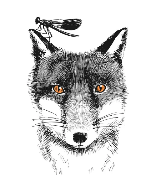 Hand getrokken fox en dragonfly — Stockvector