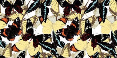 Elle çizilmiş kelebeklerle kusursuz desen.