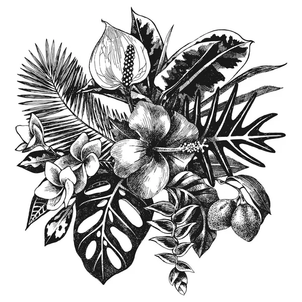 手描きの熱帯植物 — ストックベクタ