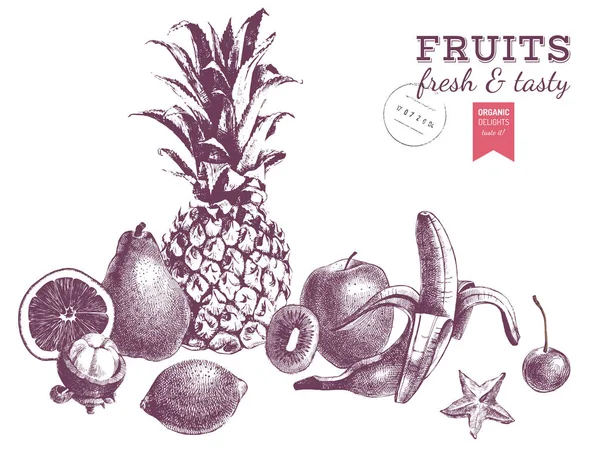 Fruits juteux dessinés à la main. Frontière vectorielle monochrome — Image vectorielle