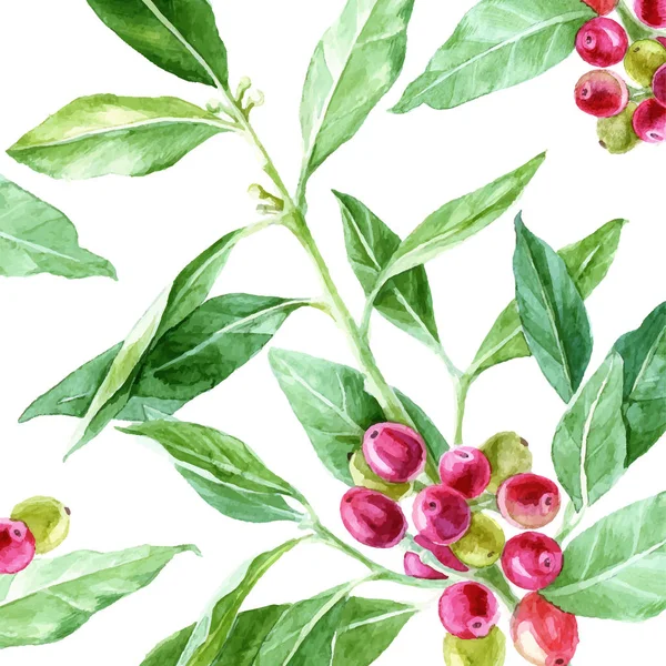 Achtergrond met hand getrokken aquarel koffie plant — Stockvector