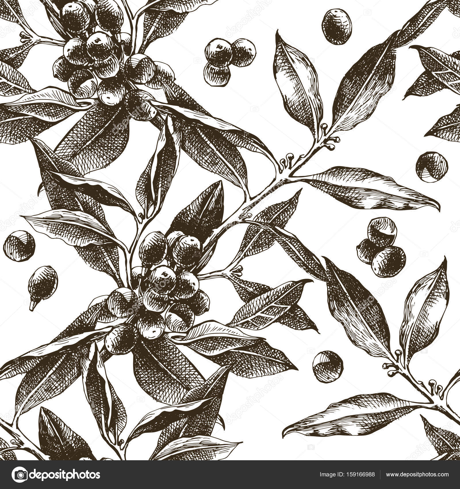 コーヒーの木ストックベクター ロイヤリティフリーコーヒーの木イラスト Depositphotos