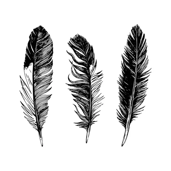 3 hand drawn black and white feathers — Stock Vector