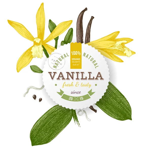 Label met het typeontwerp en vanille plant — Stockvector