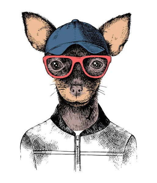Hand drawn toy terrier hipster — Stock Vector