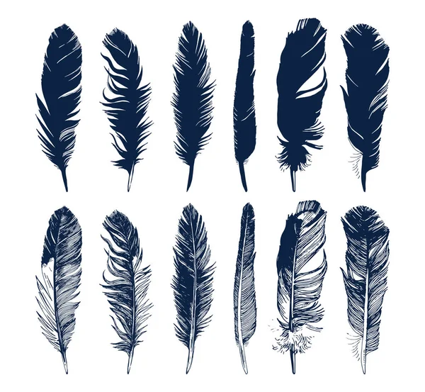 Hand drawn feathers set on white background — Stock Vector