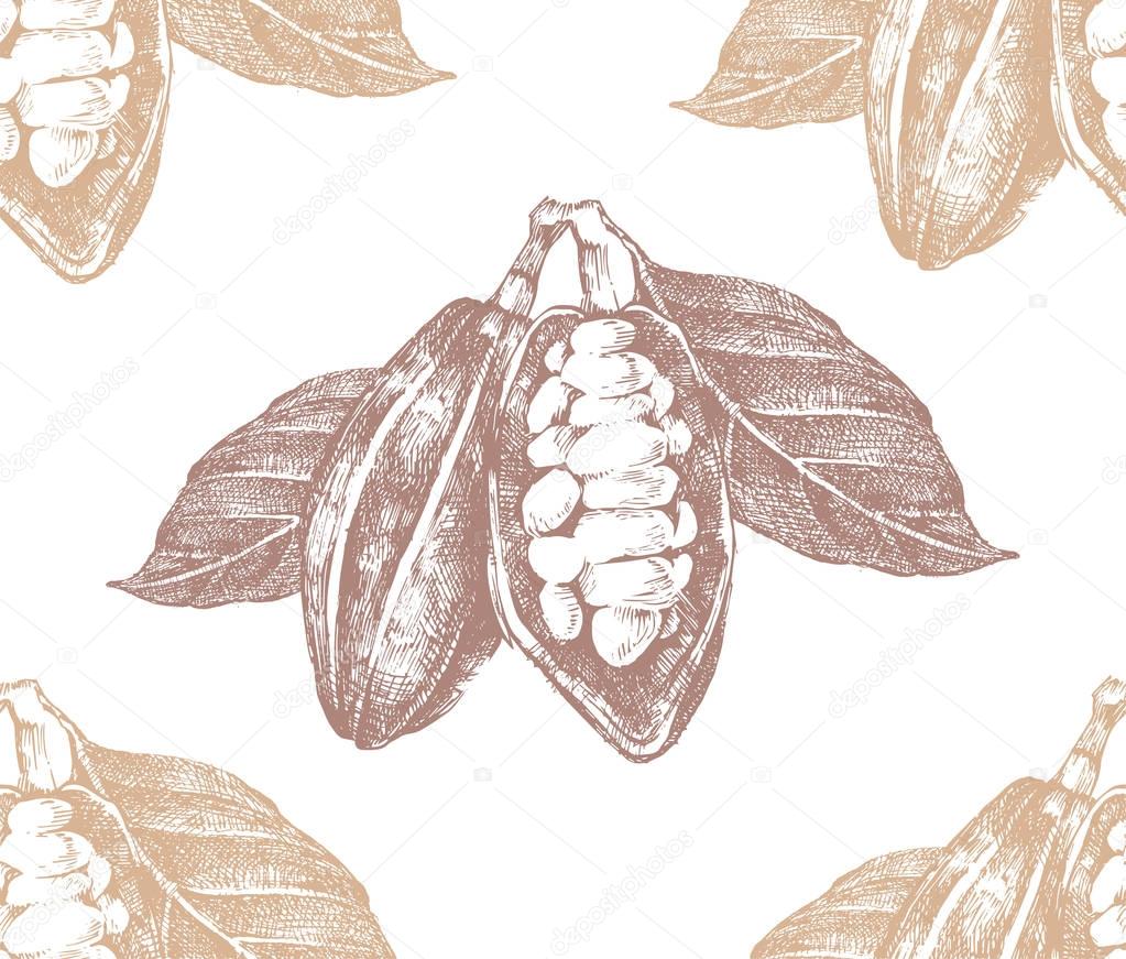 Hand drawn seamless pattern with cocoa beans