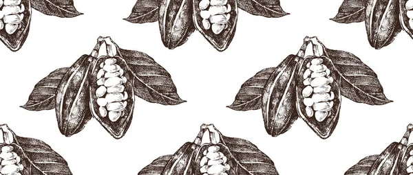 カカオ豆と手描かれたシームレス パターン — ストックベクタ