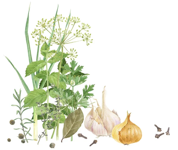 Watercolor herbs and spices — Stock Photo, Image