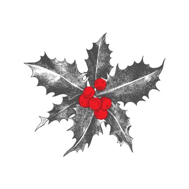 Holly berry Noel simgesi.