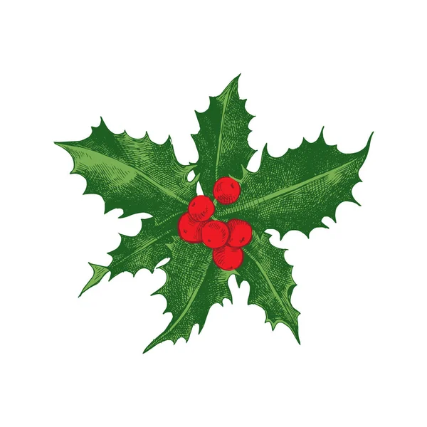 Holly Berry icône de Noël . — Image vectorielle