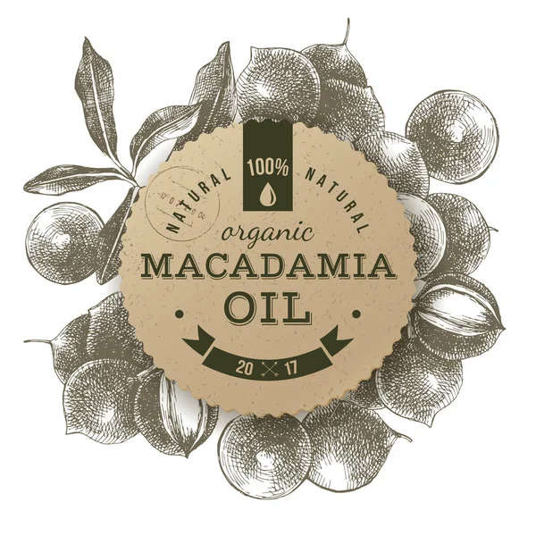 Macadamia-Öl-Etikett mit handgezogenen Nüssen — Stockvektor