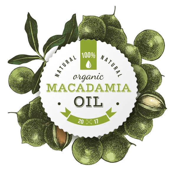 Etiqueta de aceite de macadamia con nueces estiradas a mano — Archivo Imágenes Vectoriales