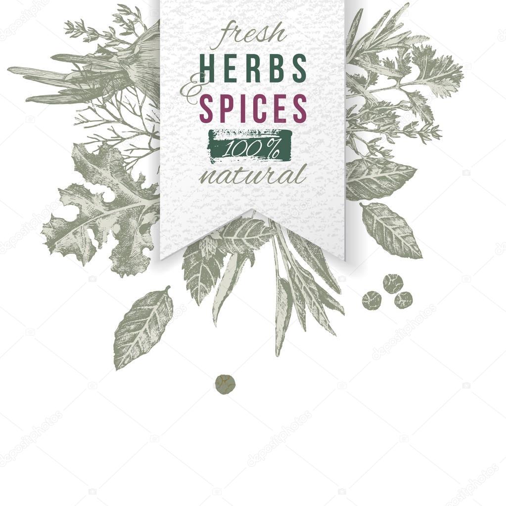 Hand drawn herbs and spices composition with paper emblem. Can be used for menu design, poster, banner, emblem, sticker or placard.