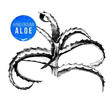 El yapımı aloe vera bitkisi