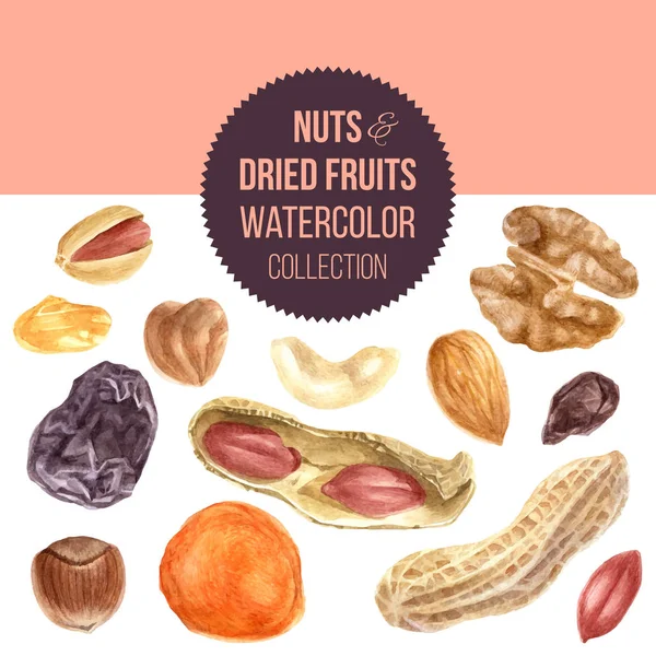 Arrière-plan avec noix et fruits secs — Image vectorielle