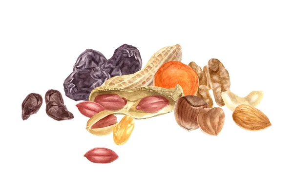 Frutos secos y frutos secos borde acuarela — Archivo Imágenes Vectoriales