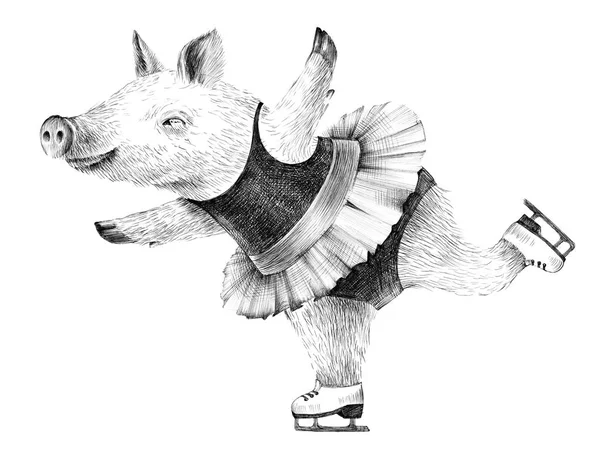Hipster gris skridskor — Stockfoto