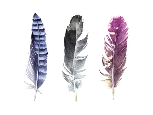 Hand drawn watercolor feather set — Stock Vector