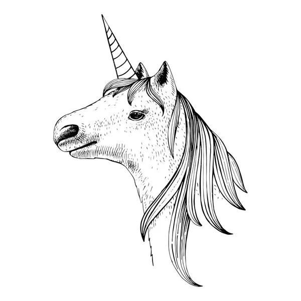 Tek boynuzlu at el çekilmiş başkanı