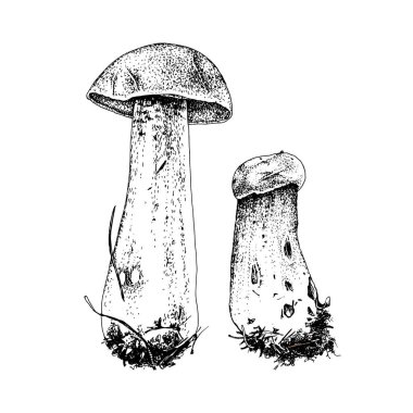 El çizimi kırmızı başlıklı skaler sapı