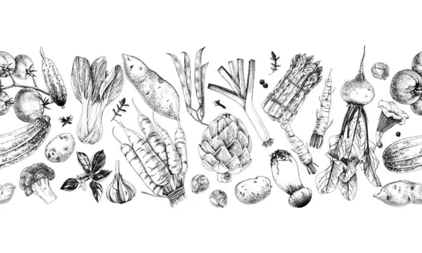 Borde sin costuras con verduras dibujadas a mano — Vector de stock