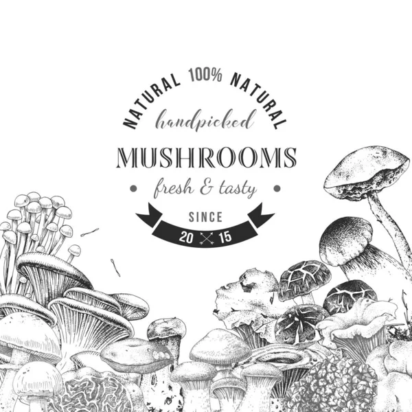 Bakgrund med handritade ätbara svampar — Stock vektor