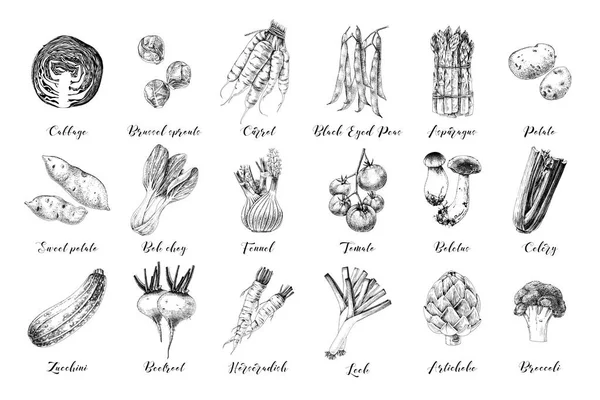 Coleta de legumes desenhados à mão —  Vetores de Stock