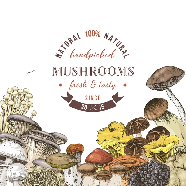 Fond avec des champignons comestibles dessinés à la main — Image vectorielle