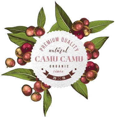 Renkli kamuflaj dallarının üzerine yazı dizaynı çizilmiş yuvarlak amblem.