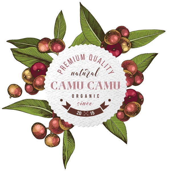 Rundes Emblem mit Typenmuster über handgezeichneten bunten Camu-Camu-Zweigen — Stockvektor