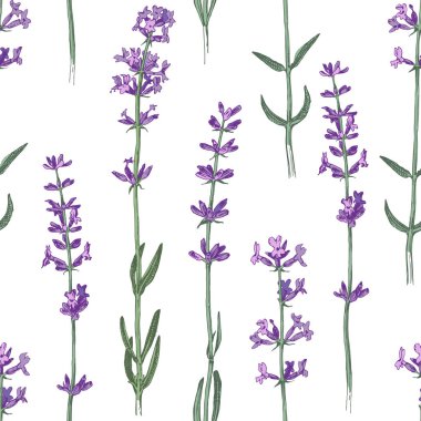Elle çizilmiş lavanta çiçekleri ile kusursuz desen