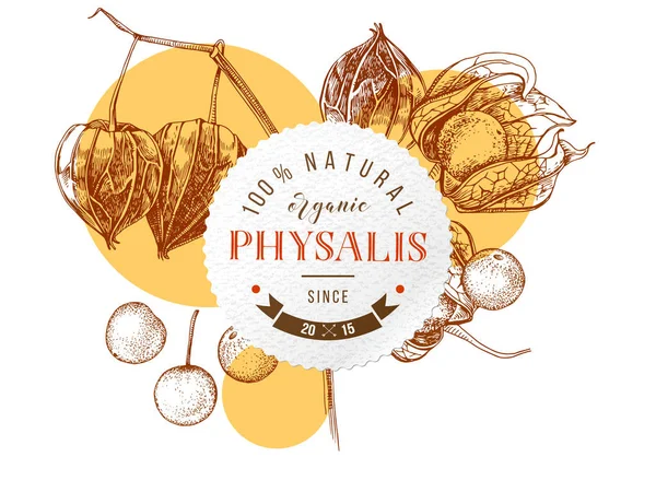 Emblème rond avec physalis dessiné à la main — Image vectorielle