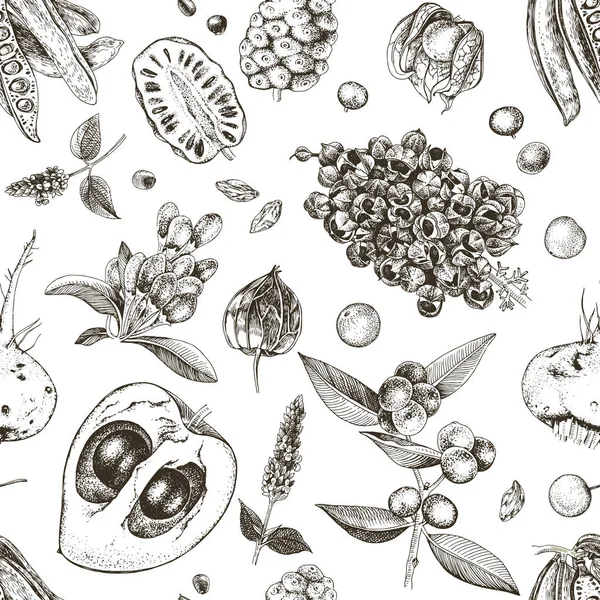 Бесшовный рисунок с рисованными вручную растениями из суперпродуктов — стоковый вектор
