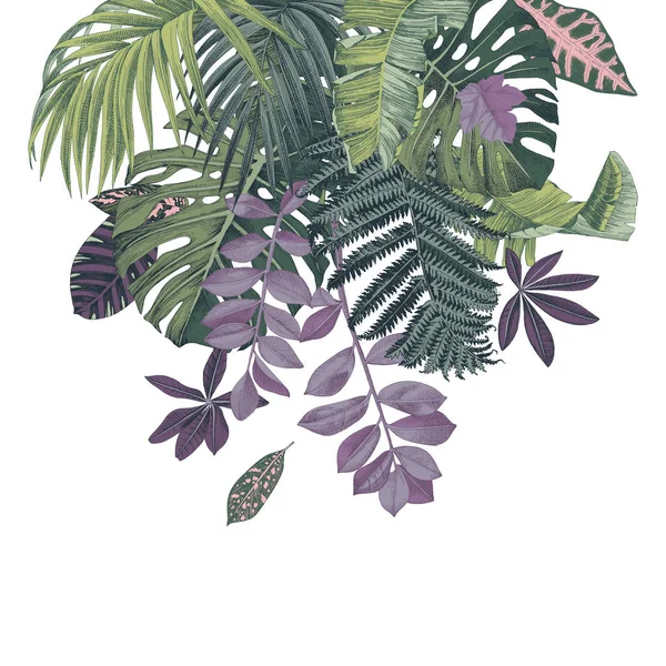 Fond avec des feuilles stropiques dessinées à la main et des plantes — Image vectorielle