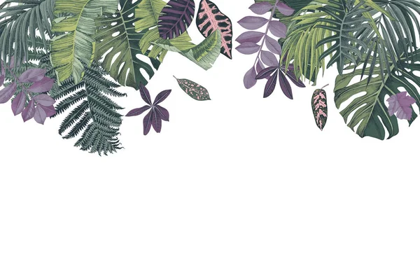 Fundo com folhas e plantas estropicais desenhadas à mão — Vetor de Stock