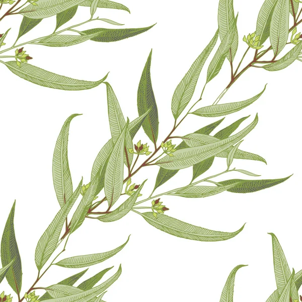 Seamless pattern with hand drawn seeded eucalyptys — Stock vektor
