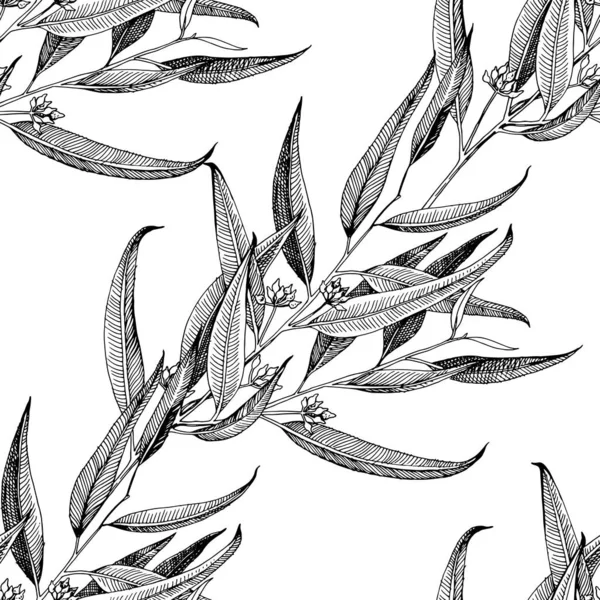 Seamless pattern with hand drawn seeded eucalyptys — Stock vektor