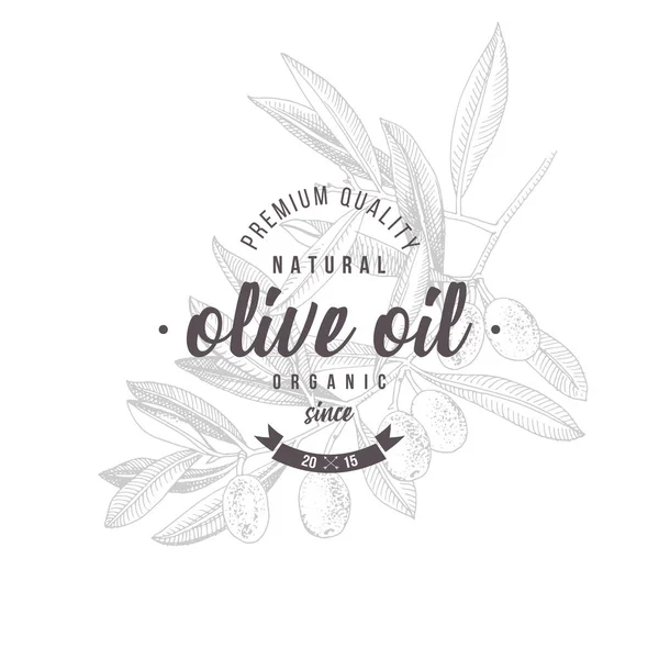 Diseño de la etiqueta del aceite de oliva sobre rama de olivo dibujada a mano — Vector de stock