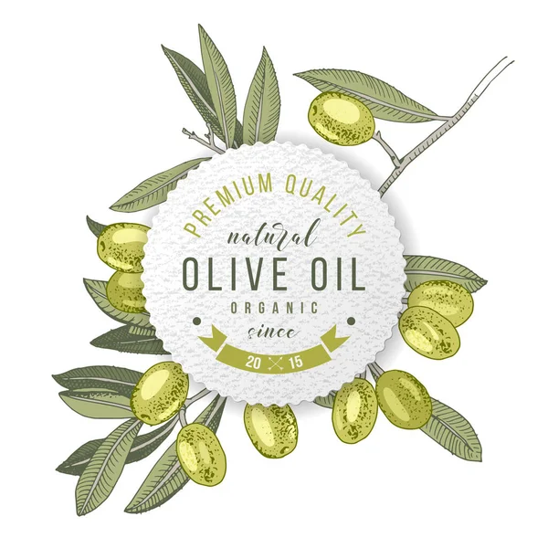 Conception d'étiquette d'huile d'olive sur branche d'olive dessinée à la main — Image vectorielle