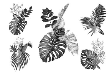 Tropikal yaprak ve bitkilerle çizilmiş 5 tane tek renkli el.