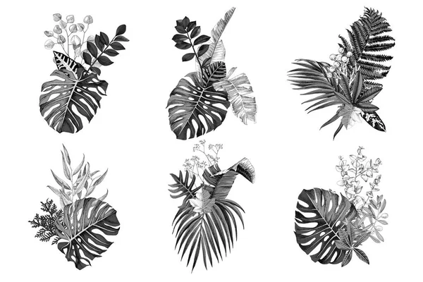 6 bouquetis monochromes dessinés à la main aux feuilles et plantes tropicales — Image vectorielle