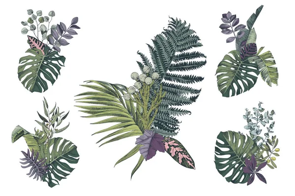 5 farbenfrohe handgezeichnete Sträuße mit tropischen Blättern und Pflanzen — Stockvektor
