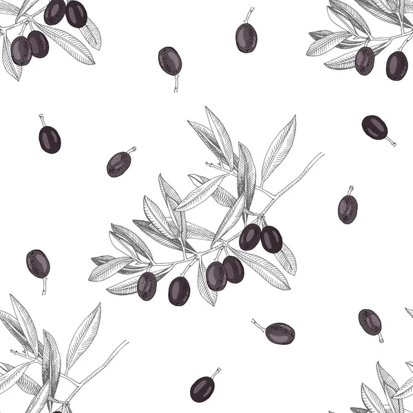 Seamless pattern with black olives and olive branches — Stock Vector