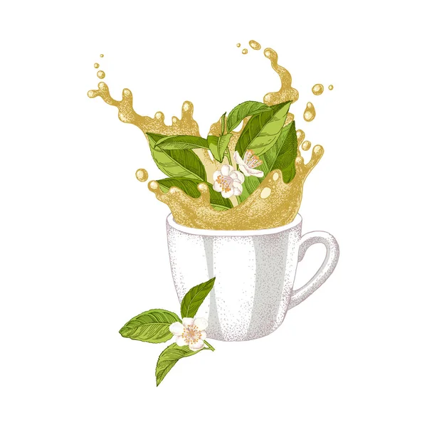 Handgezogene Tasse mit Spritzer und fallendem Teepflanzenzweig — Stockvektor